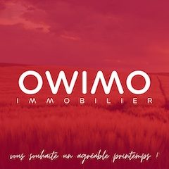 Copie de Logo OWIMO Hiver 2024 - 1